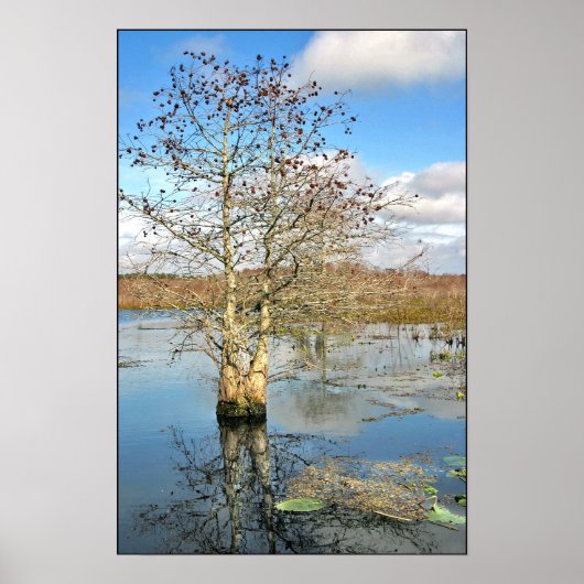 ポスタープリント: 2つの木を1つ ポスター (正面)