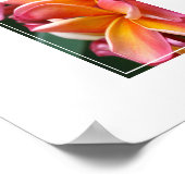 ポスタープルメリア花 ポスター (角)