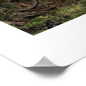 ポスターホワイト(18インチx 24インチ)ウブドバイクバリ ポスター (角)