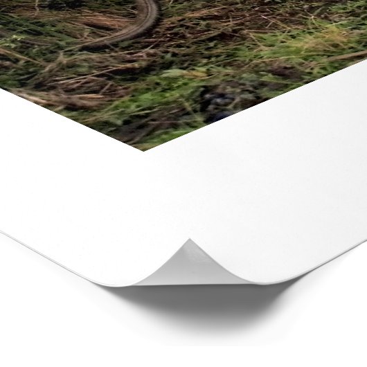 ポスターホワイト(18インチx 24インチ)ウブドバイクバリ ポスター (角)