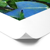 ポスターホワイト(18インチx 24インチ)赤い花バリ ポスター (角)