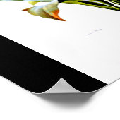 ポスターボタニカルピエールジョセフ・ルドート15 ポスター (角)