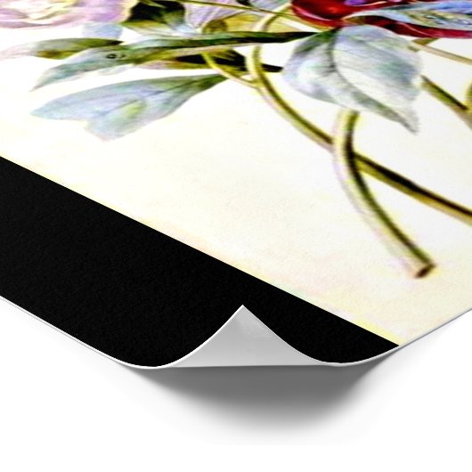 ポスターボタニカルピエールジョセフ・ルドート16 ポスター (角)