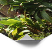 ポスターマウイサーフボードフェンス ポスター (角)