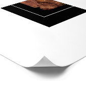 ポスターマウンテンライオン ポスター (角)