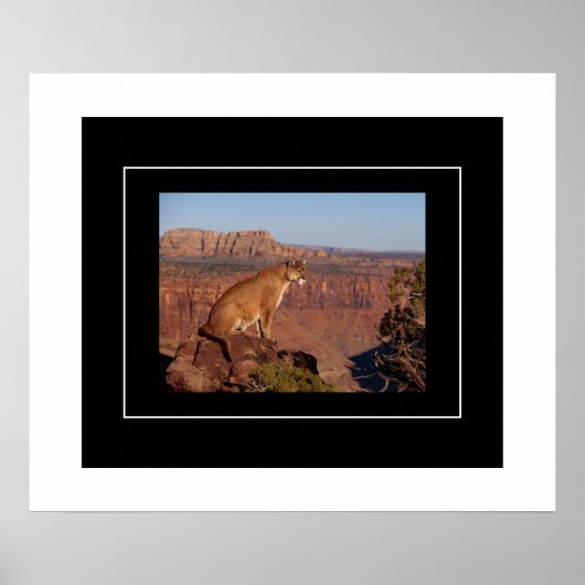 ポスターマウンテンライオン ポスター (正面)