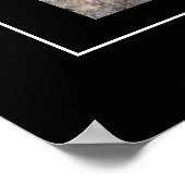 ポスターマウンテンライオン ポスター (角)