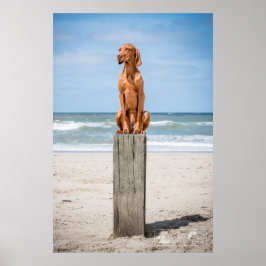 ポスターマグヤール・ヴィツラヴェルシェディーネグレッセン!! ポスター