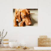 ポスターマグヤール・ヴィツラヴェルシェディーネグレッセン!! ポスター (キッチン)