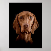 ポスターマグヤール・ヴィツラヴェルシェディーネグレッセン!!