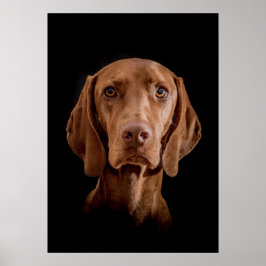 ポスターマグヤール・ヴィツラヴェルシェディーネグレッセン!! ポスター