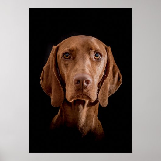 ポスターマグヤール・ヴィツラヴェルシェディーネグレッセン!! ポスター (正面)