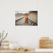 ポスターマグヤール・ヴィツラヴェルシェディーネグレッセン!! ポスター (キッチン)