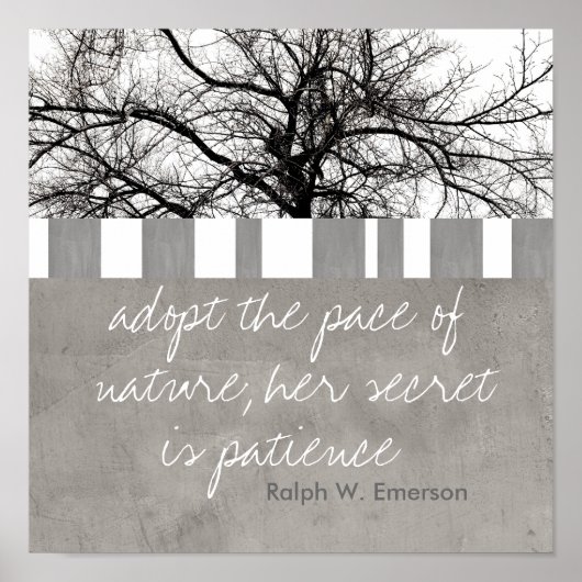 ポスターラルフWエマーソン引用文自然フォトアート ポスター (正面)