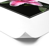 ポスターリリーの花 ポスター (角)