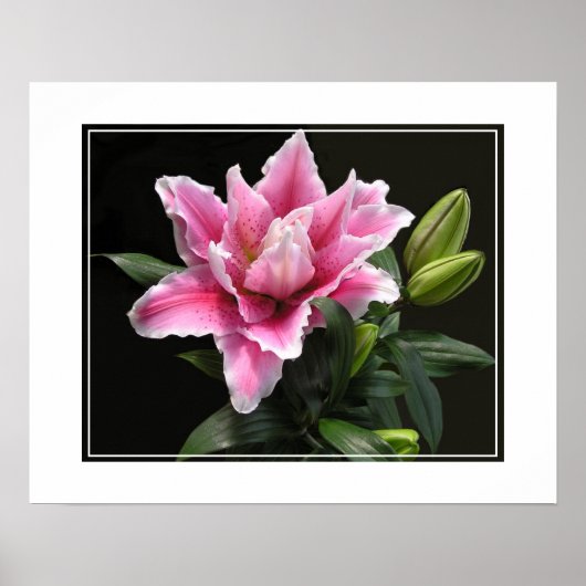 ポスターリリーの花 ポスター (正面)