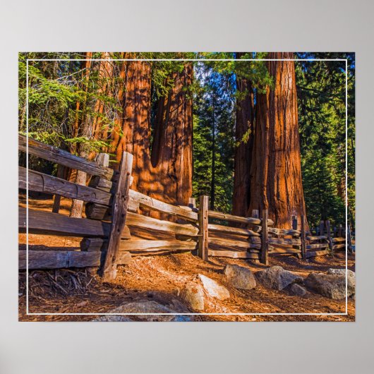 ポスターレッドウッズ ポスター (正面)