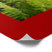 ポスターレッド(18インチx 24インチ)開花ウブドバリ ポスター (角)