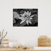 ポスターロータス ポスター (キッチン)