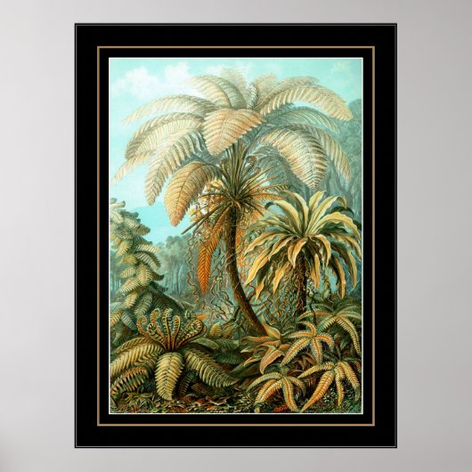 ポスターヴィンテージアーティストErnst Haeckel Filicinae ポスター (正面)