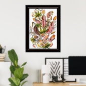 ポスターヴィンテージアーティストErnst Haeckel Nepenthaceae ポスター (ホームオフィス)