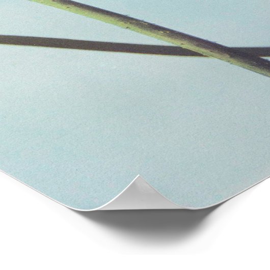 ポスターヴィンテージフルーアドロータス ポスター (角)