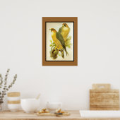 ポスターヴィンテージペレグリン《鳥》ハヤブサ鳥 ポスター (キッチン)