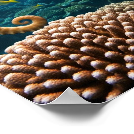 ポスター与えをアップしない ポスター (角)