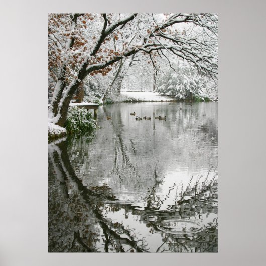 ポスター冬のシーン ポスター (正面)