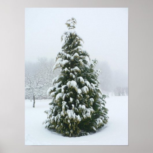 ポスター冬のシーン ポスター (正面)