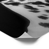 ポスター点々のある ポスター (角)