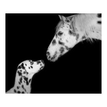 ポスター点々のある