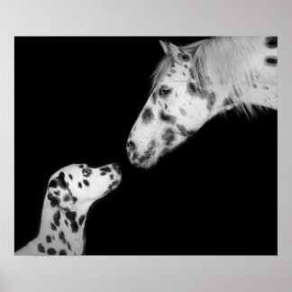 ポスター点々のある ポスター