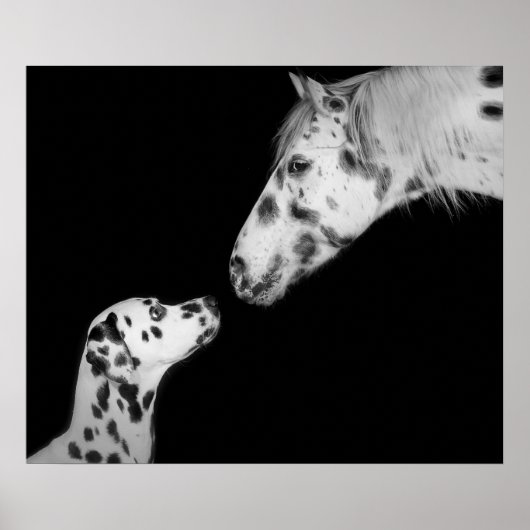 ポスター点々のある ポスター (正面)