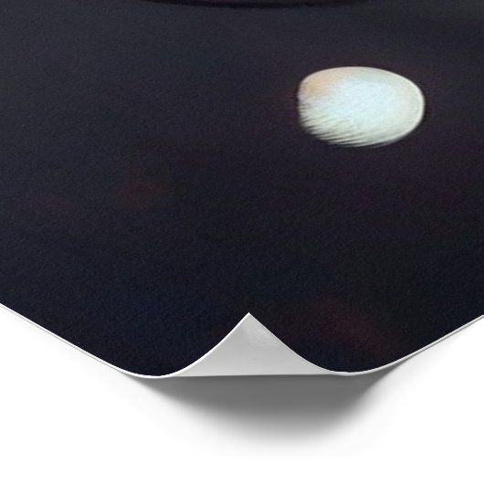 ポスター猫 ポスター (角)