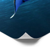 ポスター用の魚像 ポスター (角)