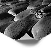 ポスター用アイリッシュ画像 ポスター (角)