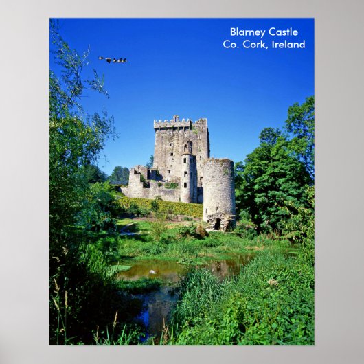 ポスター用アイルランドの画像 ポスター (正面)