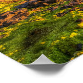 ポスター用アイルランドの画像 ポスター (角)