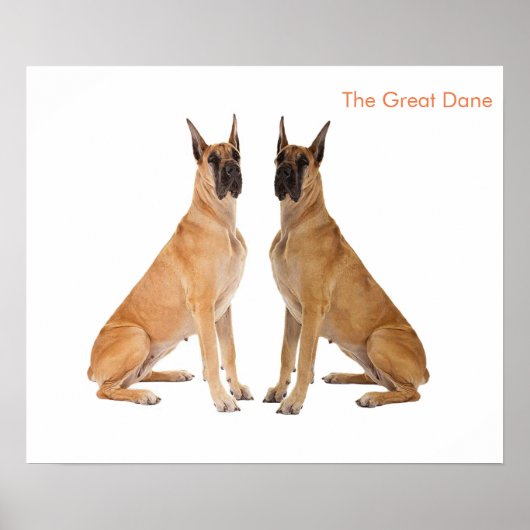 ポスター用ドッグイメージ ポスター (正面)