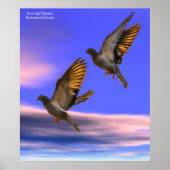 ポスター用ハトの写真を撮る ポスター (正面)