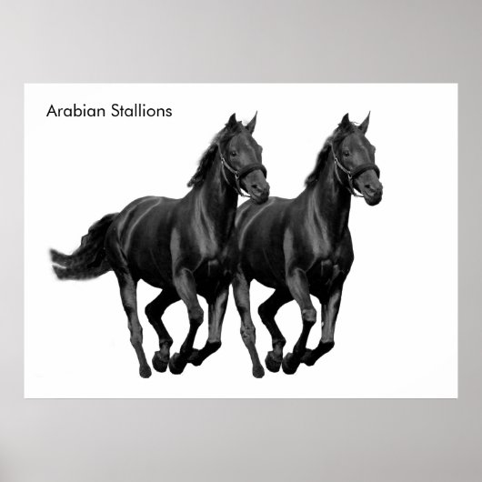 ポスター用馬像 ポスター (正面)