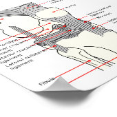 ポスター解剖図ヒト右膝関節 ポスター (角)