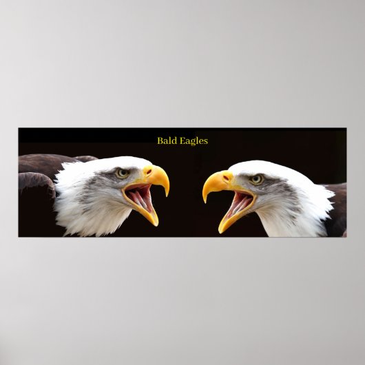 ポスター (正面)