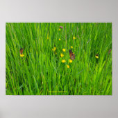 ポスター (正面)