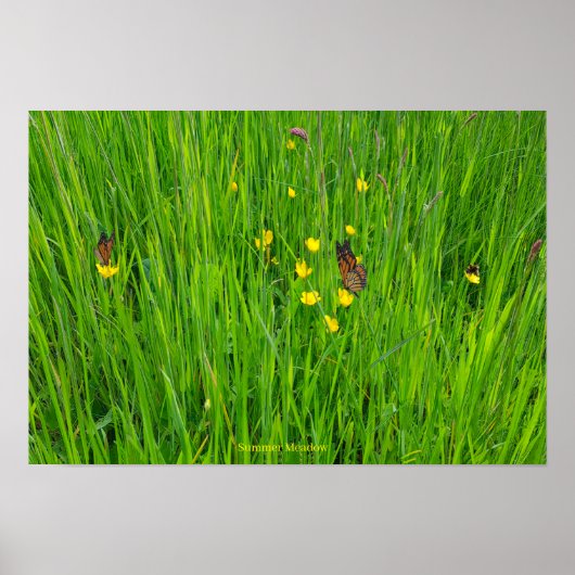 ポスター (正面)