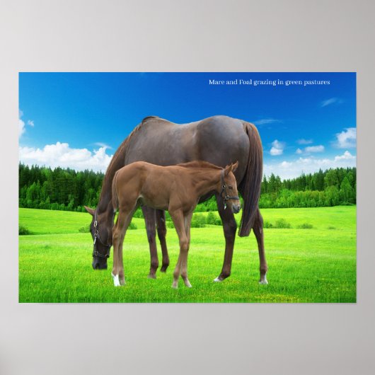 ポスター (正面)