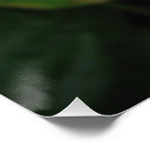 ポスター (コーナー)