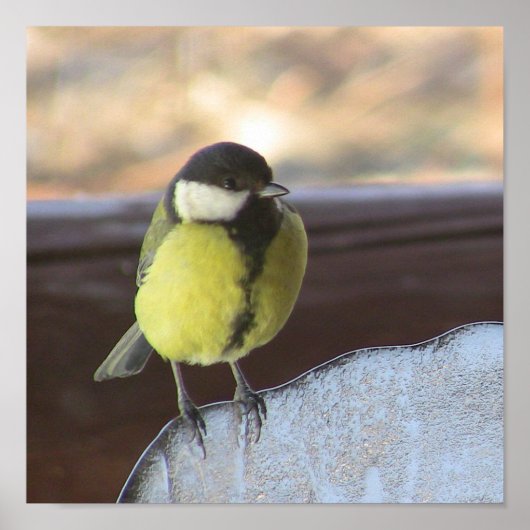 ポスター (正面)