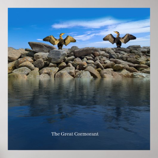 ポスター (正面)